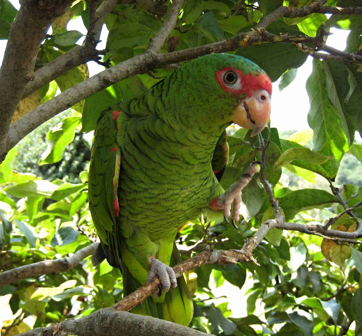 Foto 5